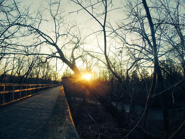 Submitted by user  @ededic 