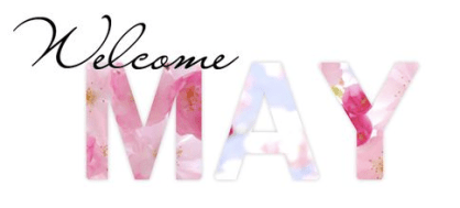 Screen Shot 2017-04-21 at 1.50.55 PM