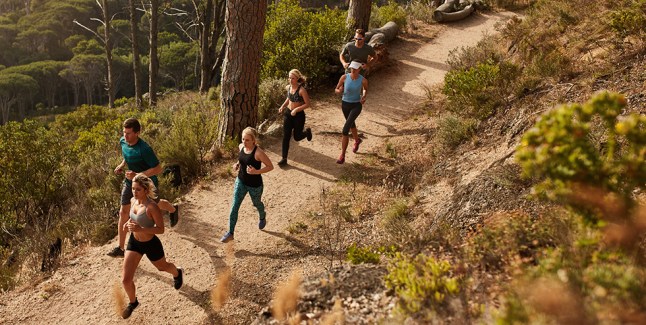 Trail Runner 980x494.jpg